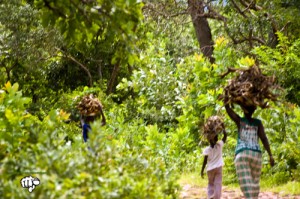Dindefelo Ecosenegal