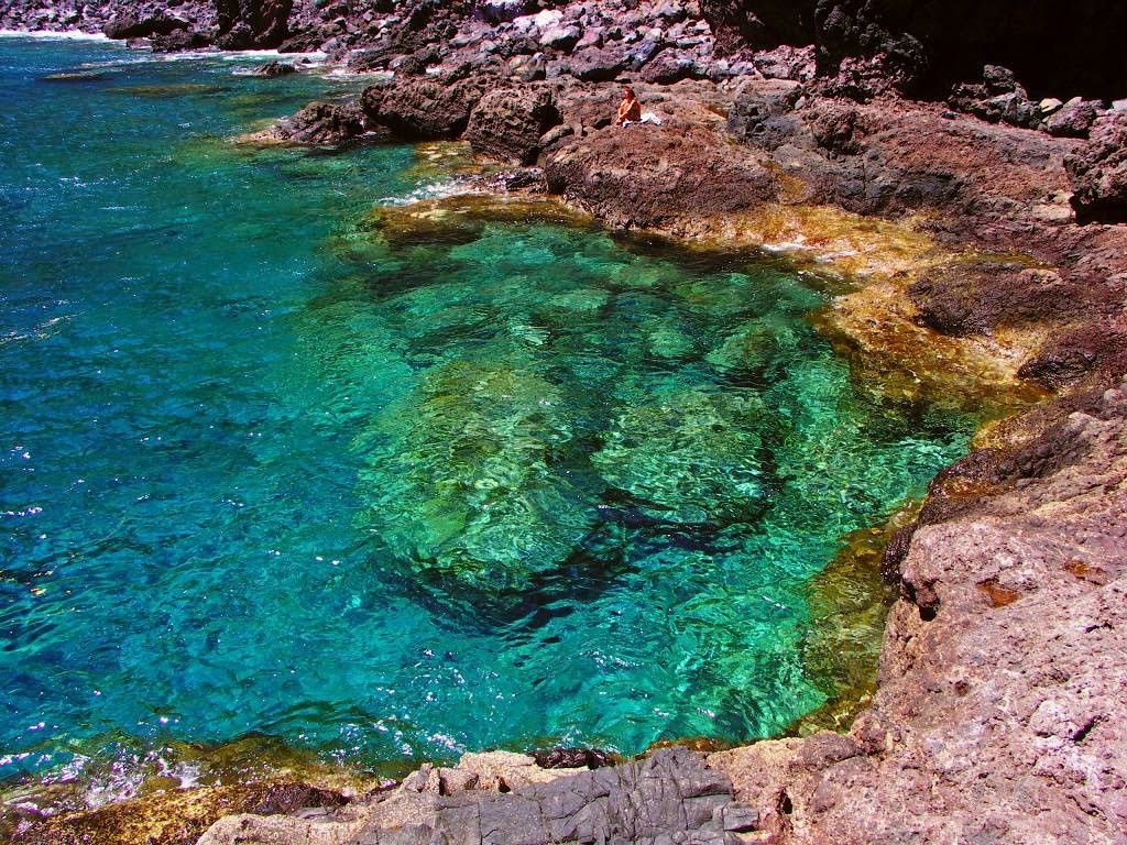 permacultura en Canarias