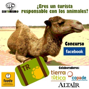 ¿Eres un turista responsable con los animales?