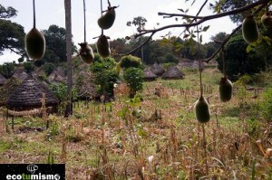 Turismo responsable en Senegal