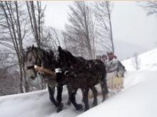 Transilvania
