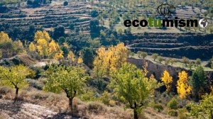 Turismo ecológico