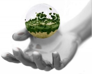 logo_biosfera__1