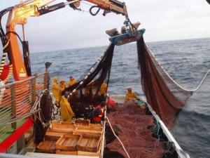 Turismo marinero responsable