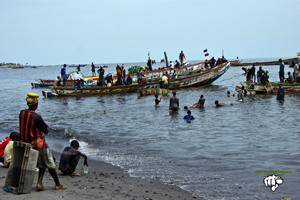 La costa de Senegal: conservación y protección de un ECOSISTEMA VITAL amenazado 1/2