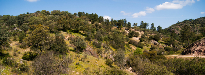 #SierraMorenaTrip: Naturaleza y etnografía en torno a un paisaje con mucha identidad en Andalucía 1/2