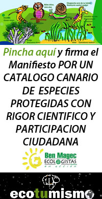 Por un Catálogo Canario de Especies Protegidas con rigor científico y participación ciudadana