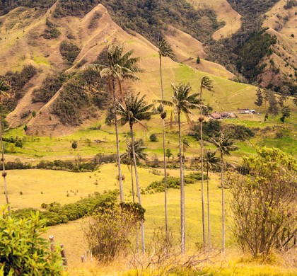 Turismo y paz en el eje de la actual coyuntura social y económica de Colombia