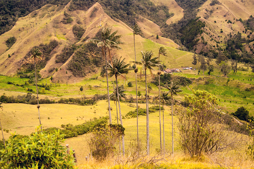 Turismo y paz en el eje de la actual coyuntura social y económica de Colombia