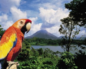 Costa_Rica_VolcanoParrot