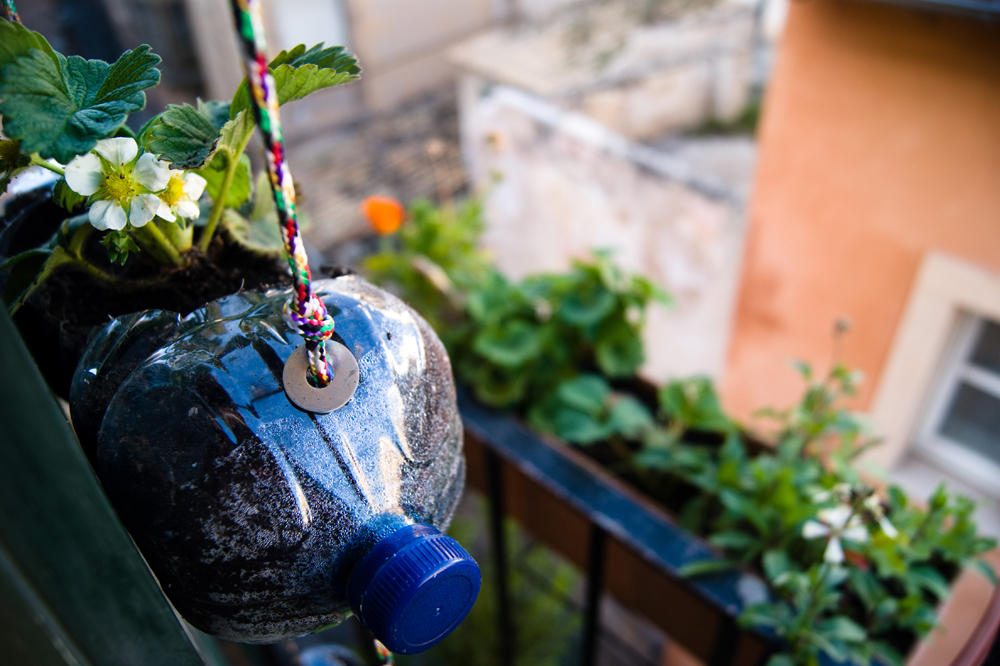 Cómo hacer un HUERTO vertical en casa con botellas de plástico RECICLADAS