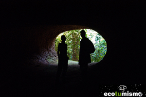 Descubriendo el valor MEDIOAMBIENTAL de DINDEFELO 2/2