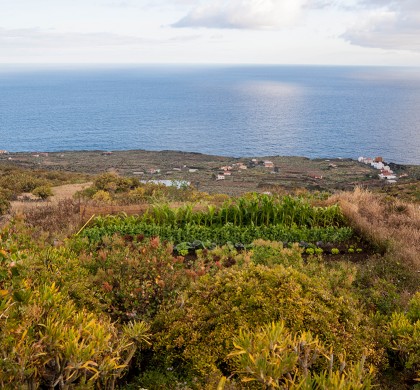 La permacultura, clave para un nuevo paradigma más sostenible en Canarias