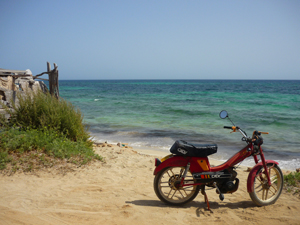 Formentera siempre espera paciente tu retorno