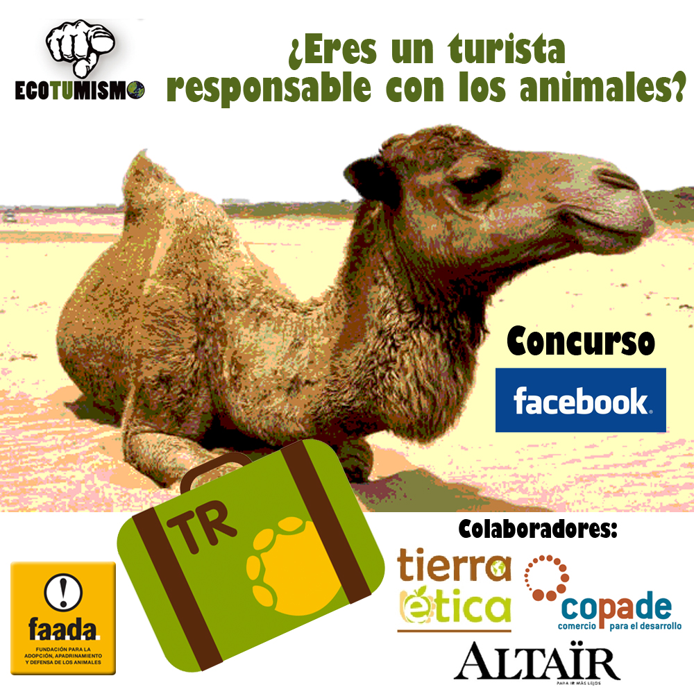 Concurso Facebook: ¿Eres un TURISTA RESPONSABLE con los ANIMALES?