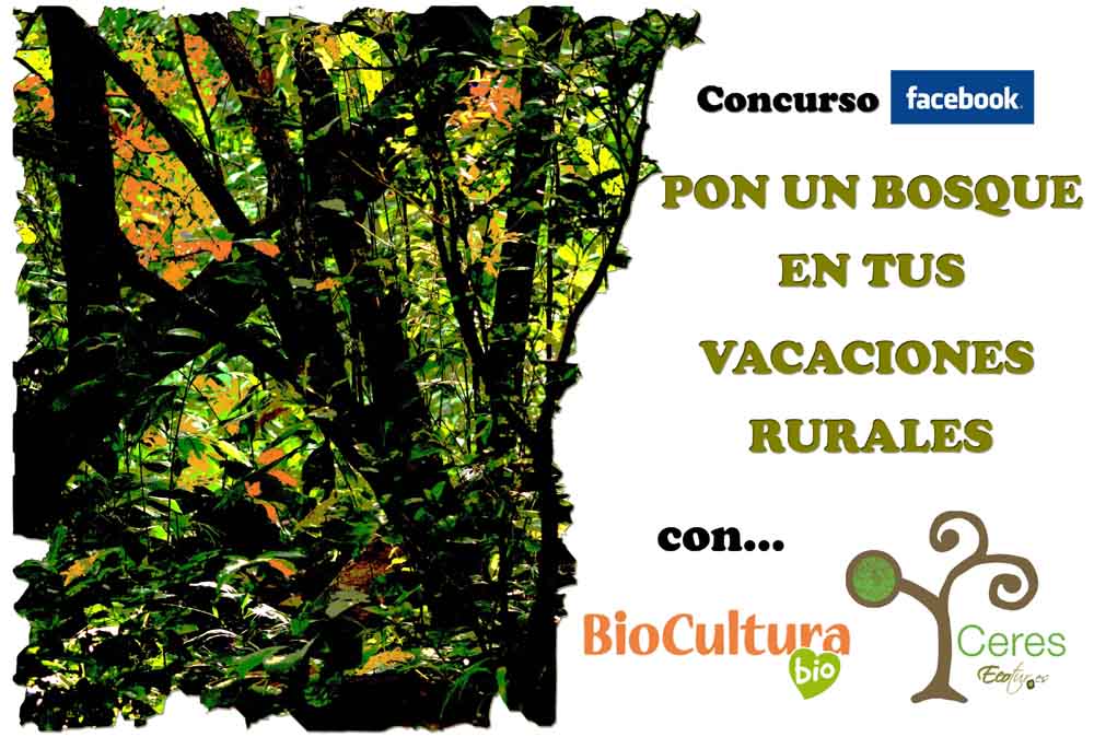 Concurso Facebook Ceres Ecotur: ‘Pon un BOSQUE en tus vacaciones rurales’