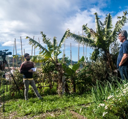 El proyecto LASOS: la necesidad de generar espacios de acción colectiva hacia una isla de Tenerife más sostenible y autosuficiente