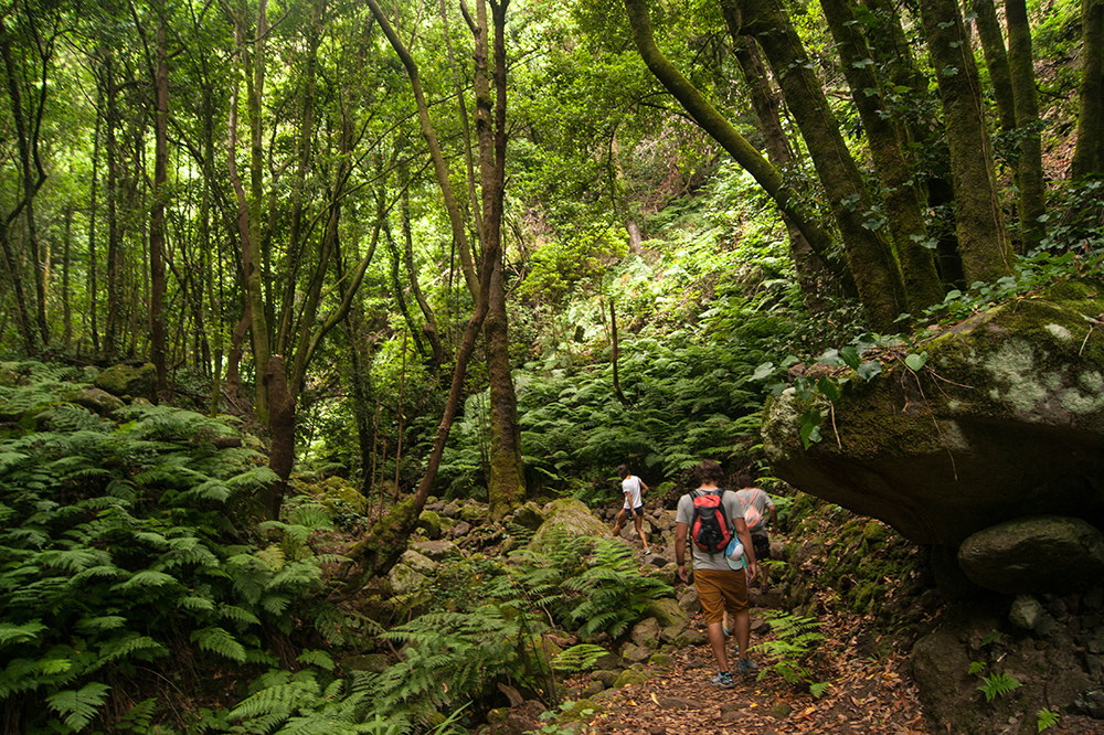 turismo sostenible en La Palma