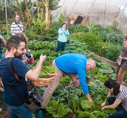 Mucho camino que recorrer para una agricultura sostenible y productiva en Canarias