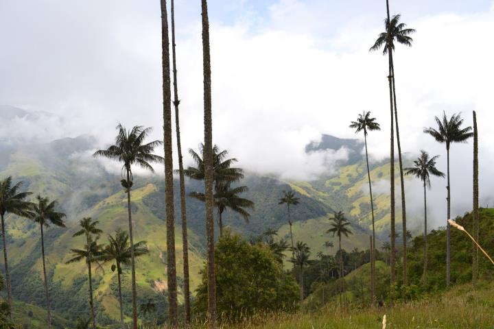 Pijao (Colombia): pueblo del buen vivir y primera ciudad SLOW de América Latina