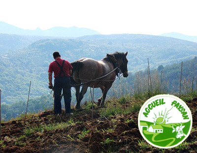 Vacaciones en la Granja – Accueil Paysan nace en España para valorizar actividades AGROPECUARIAS y turismo RURAL