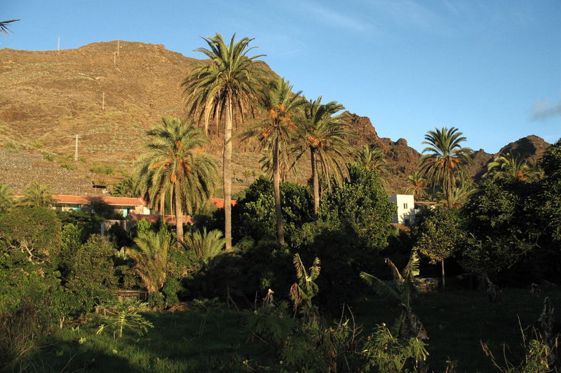 Hotel El Cabrito, ejemplo de respeto por la naturaleza