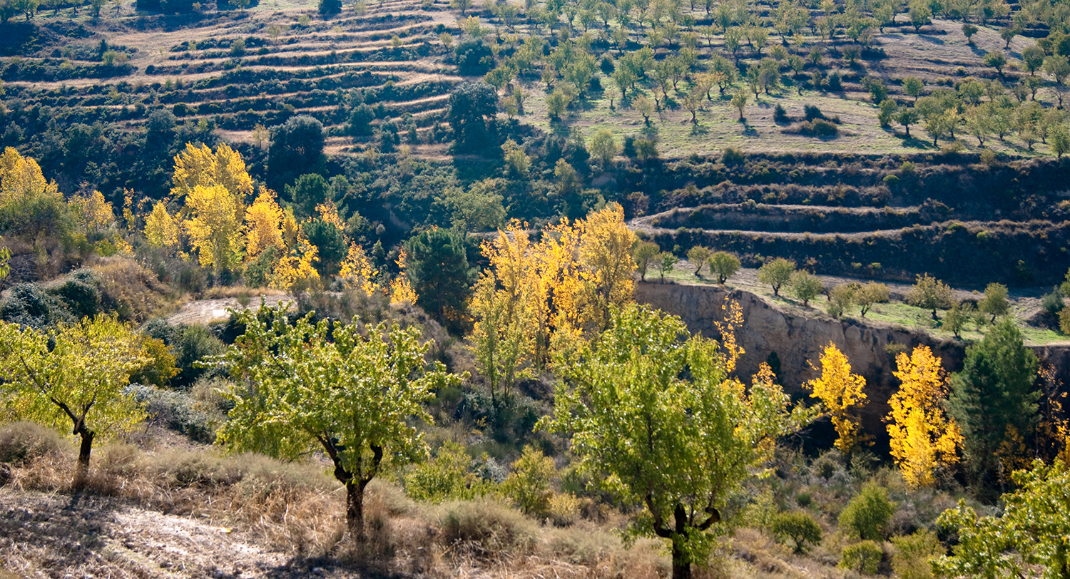 ecología