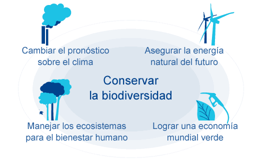 Formentera da un paso más hacia un FUTURO SOSTENIBLE