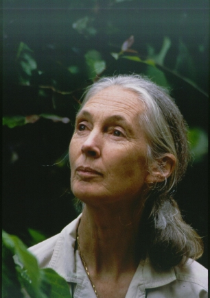 JANE GOODALL se pregunta cómo es posible que DESTRUYAMOS el planeta