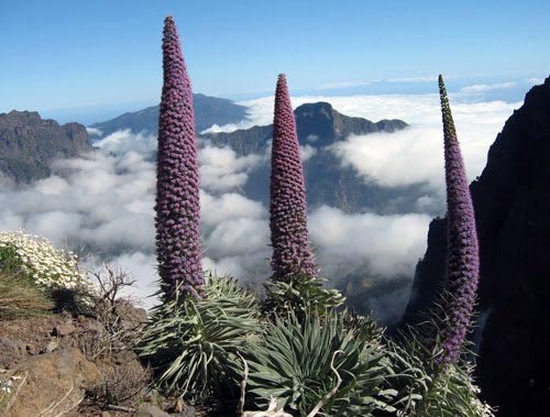 La Palma en las Islas Canarias, paraíso para el turismo SLOW