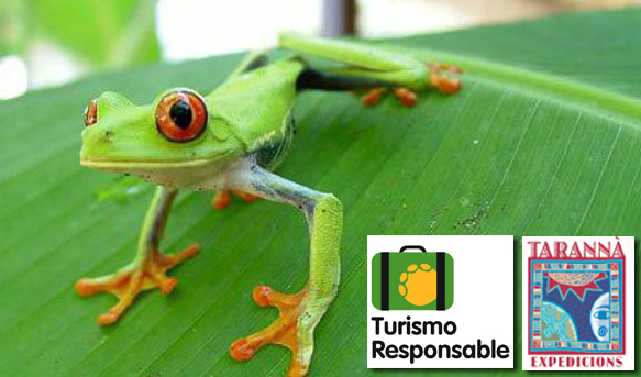 Viaje responsable con los animales a COSTA RICA con Tarannà y FAADA